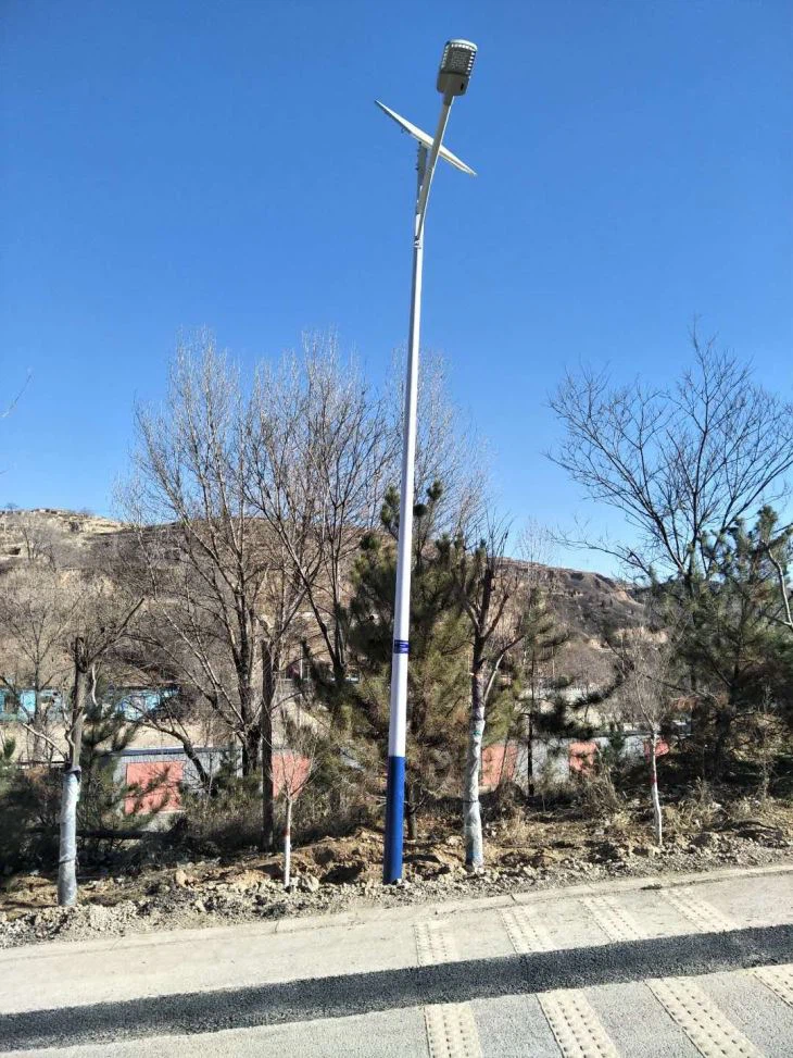 30W All In Two LiFePo4 Solar Street Lights